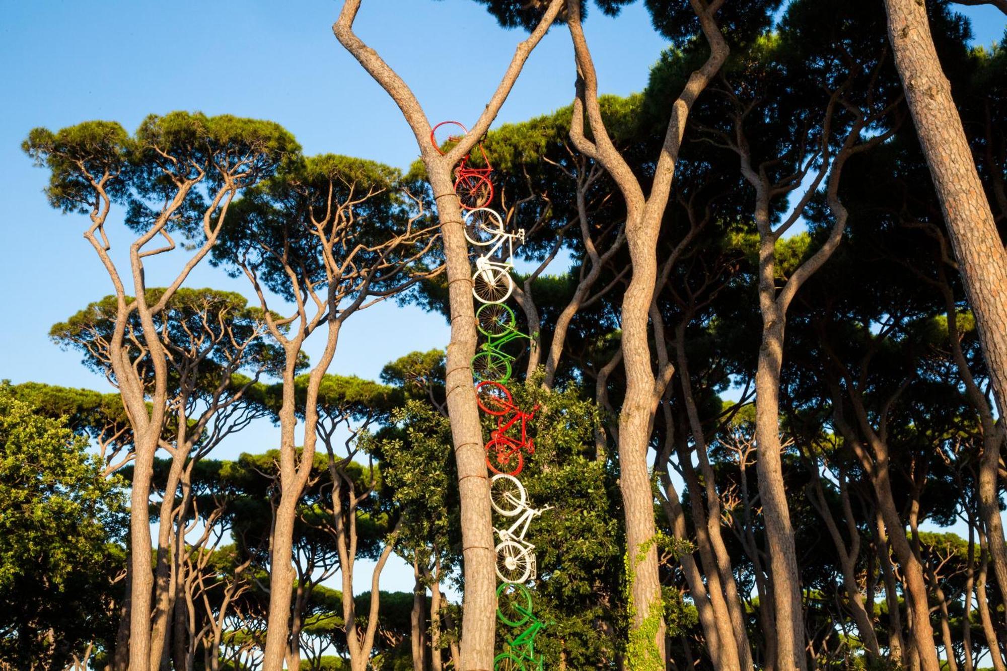 Hotel Il Mulinaccio San Vincenzo Dış mekan fotoğraf