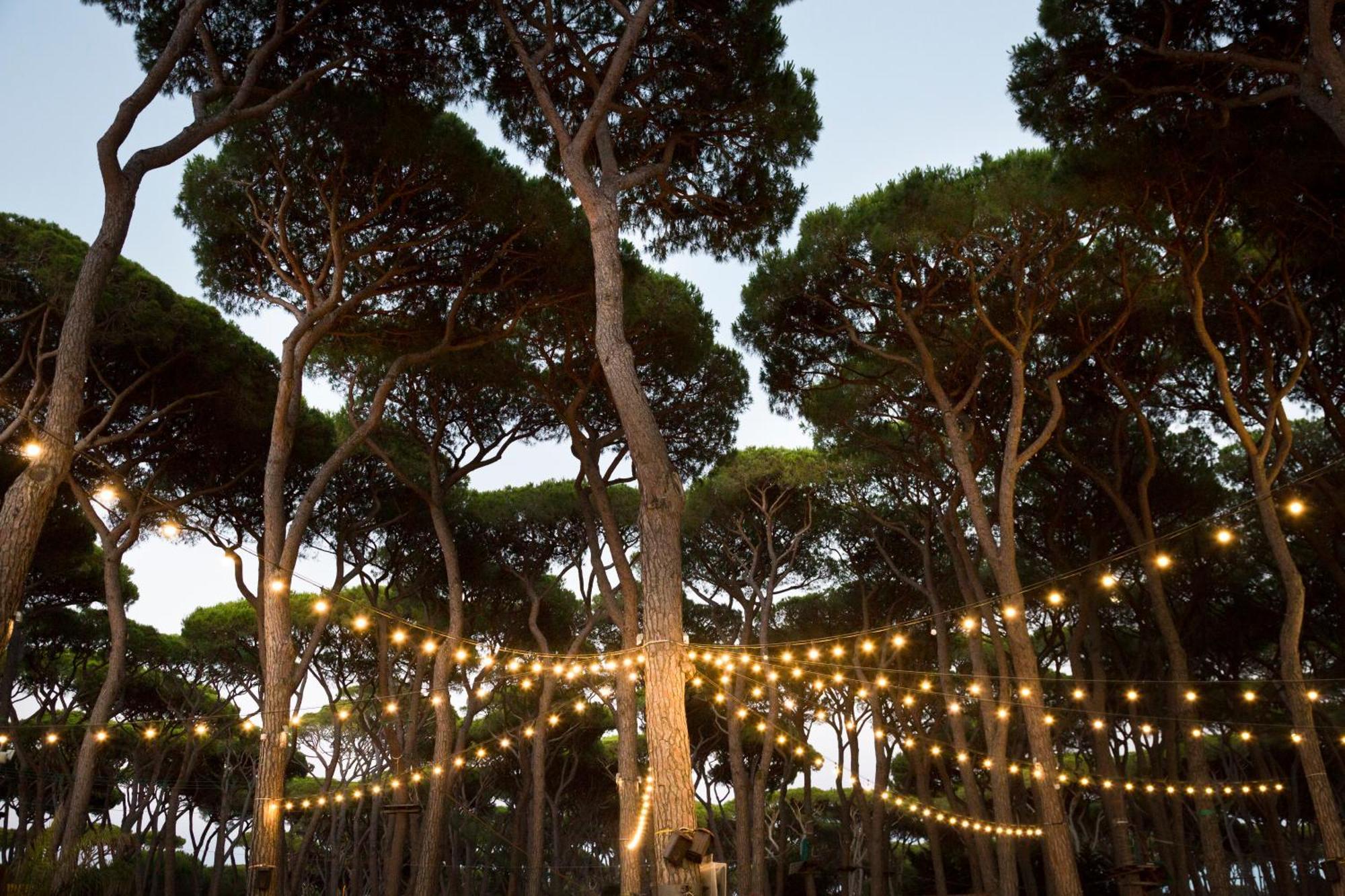 Hotel Il Mulinaccio San Vincenzo Dış mekan fotoğraf